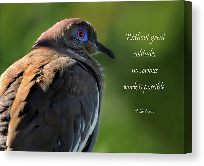 Blue Eyes Canvas Print featuring the photograph Dove of Solitude by Nancy Griswold