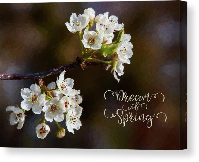 Spring Canvas Print featuring the photograph Dream of Spring by Cathy Kovarik