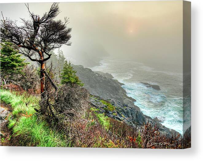 0586 Canvas Print featuring the photograph East Shore Sunrise by Tom Cameron