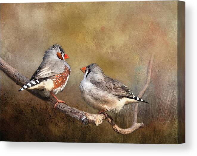 Finch Canvas Print featuring the photograph Exotic Zebra Finch by Theresa Tahara