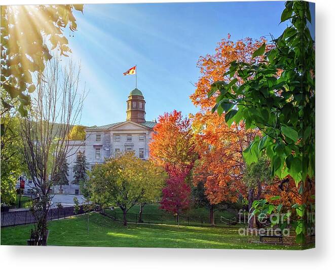 Montreal Canvas Print featuring the photograph Fall colors, McGill campus in Montreal by Joshua Poggianti
