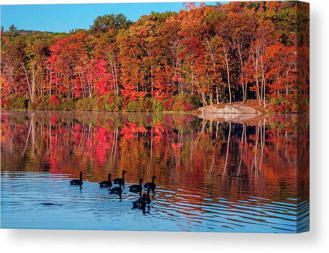 Harriman State Park Canvas Print featuring the photograph Fall Tranquility by Anthony Sacco