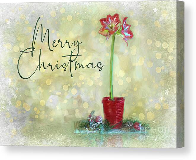 Amaryllis Canvas Print featuring the digital art Feeling Merry by Amy Dundon