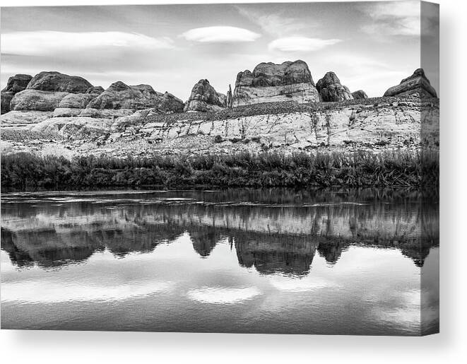 Black And White Canvas Print featuring the photograph Fins Afloat by Deborah Hughes