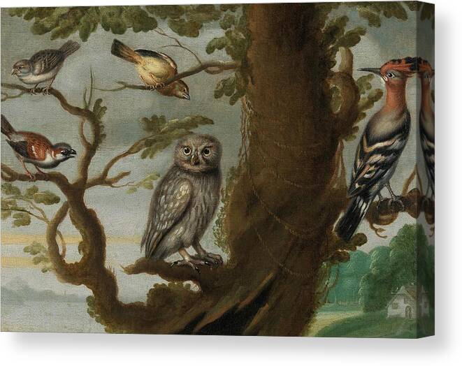Travel Canvas Print featuring the painting Flemish School Century An owl and a hoopoe and other birds in a tree by MotionAge Designs