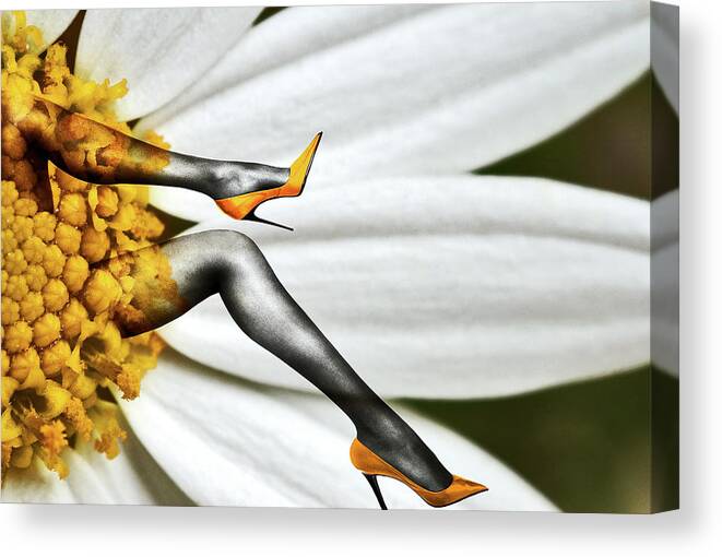 White Daisy Canvas Print featuring the photograph Flower and legs by Al Fio Bonina