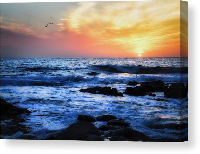 Sunset Canvas Print featuring the photograph Flying Into the Sunset by Zayne Diamond