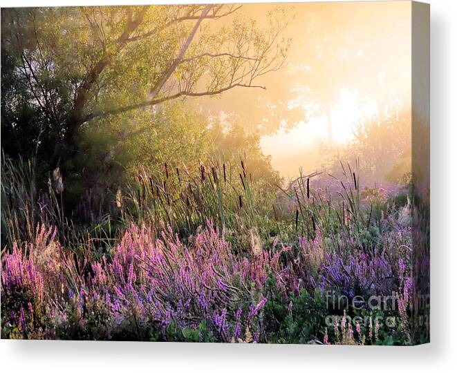 Fog Canvas Print featuring the photograph Foggy August in the marshes by Janice Drew