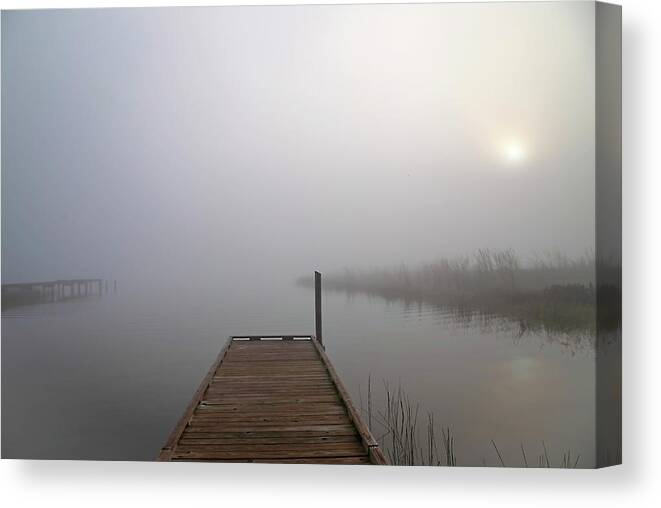 Fog Canvas Print featuring the photograph Foggy Morning by Dart Humeston