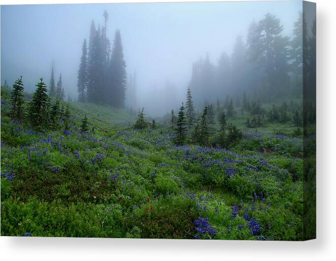 Foggy Skyline Trail At Mount Rainier Canvas Print featuring the photograph Foggy Skyline Trail at Mount Rainier by Lynn Hopwood