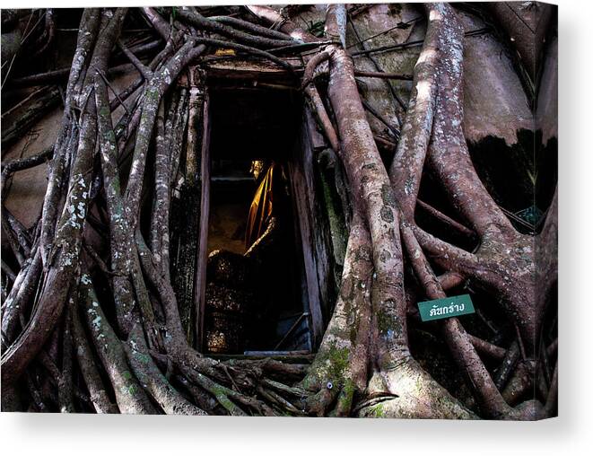 Banyan Canvas Print featuring the photograph Forgotten Temple - Wat Ban Kung, Thailand by Earth And Spirit