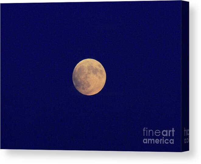 Full Moon Canvas Print featuring the photograph Full Moon and Deeo Ble Sky by Paula Guttilla