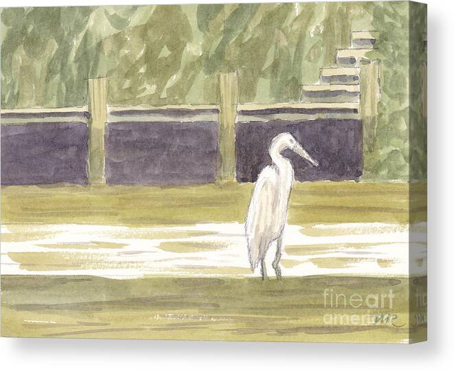 Maryland Canvas Print featuring the painting Great Egret on Little Magothy by Maryland Outdoor Life