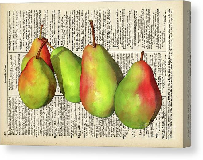 Pear Canvas Print featuring the painting Green Pears on Vintage Dictionary by Hailey E Herrera