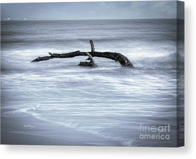 Nature Canvas Print featuring the photograph Harmonious Driftwood II by DB Hayes