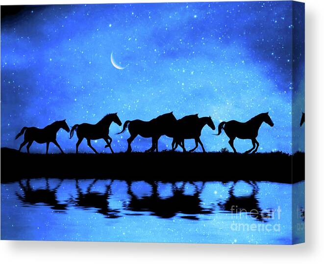 Stary Night in the Wild Nature Photography Canvas Print Art Decor 
