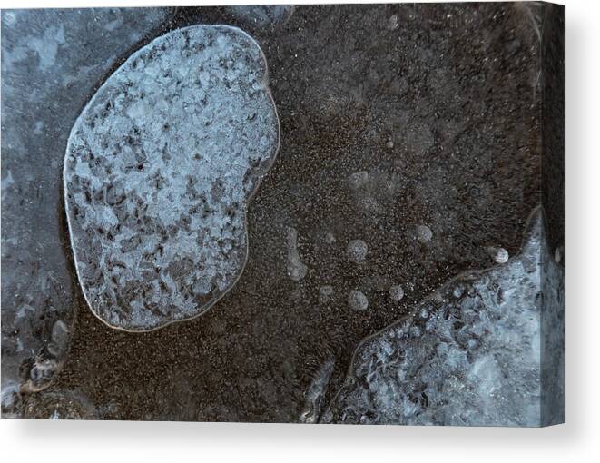 Bubbles Canvas Print featuring the photograph Ice Abstract With Bubbles by Karen Rispin