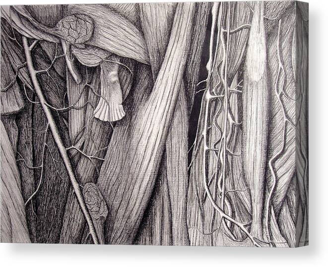 Veins Canvas Print featuring the drawing Internal Scape by Nancy Mueller