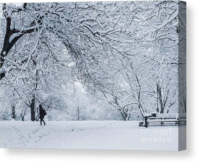 Isham Canvas Print featuring the photograph Isham Park, Snow by Cole Thompson