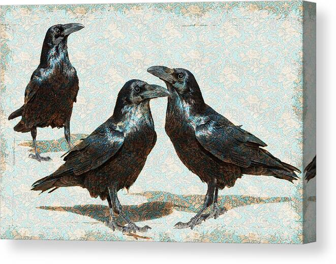 Raven Canvas Print featuring the photograph It's Those Guys by Mary Hone