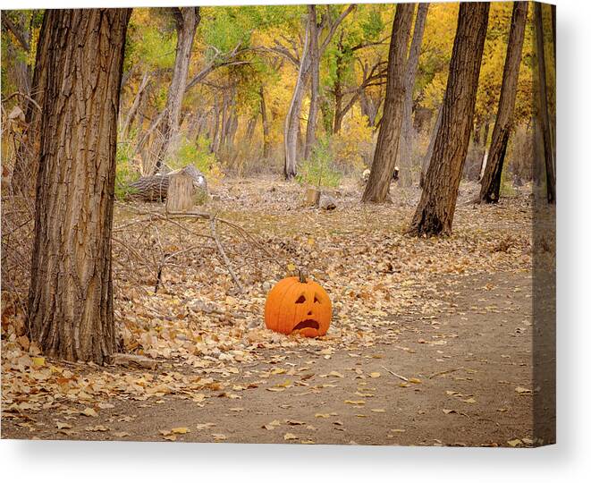 Halloween Canvas Print featuring the photograph Jack Pumpkin Head of the Woods by Mary Lee Dereske