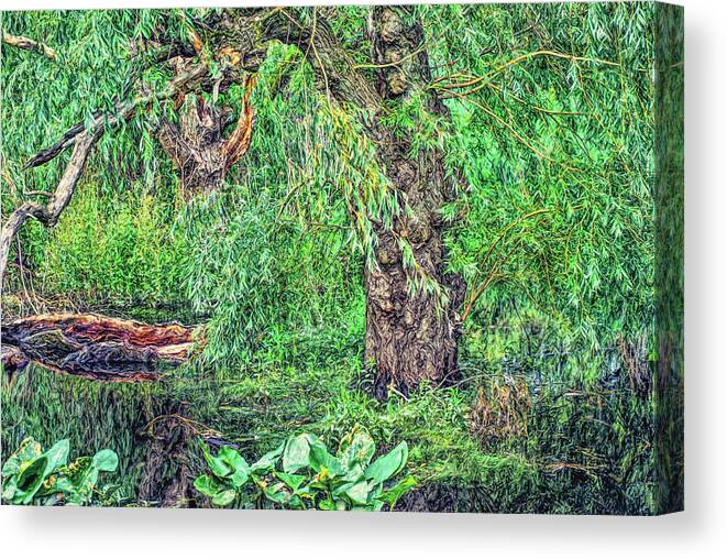 Marsh Canvas Print featuring the photograph Knarly Tree in Swamp by Cordia Murphy