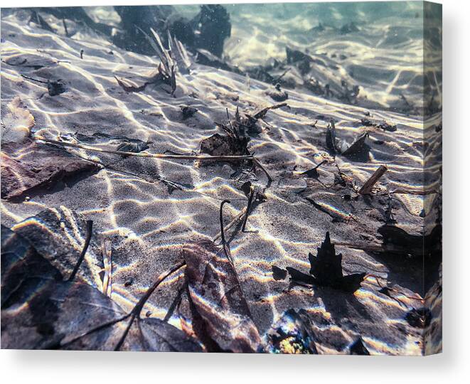 Water Canvas Print featuring the photograph Lackawaxen River Underwater 3 by Amelia Pearn
