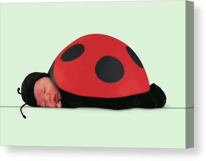 Ladybug Canvas Print featuring the photograph Ladybug #4 by Anne Geddes