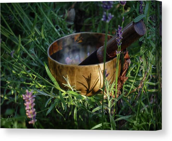 Singing Bowl Canvas Print featuring the photograph Lavender Vibrations Singing Bowl by D Lee