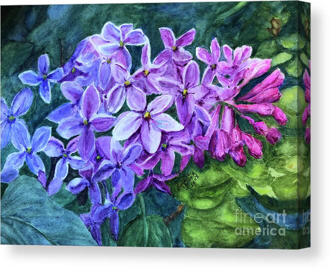 Lilac Canvas Print featuring the painting Lilac by Bonnie Young