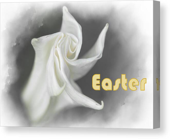 Easter Canvas Print featuring the mixed media Lily by Moira Law