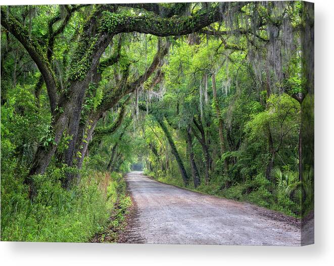 Low Country Canvas Print featuring the photograph Low Country Road by James Woody