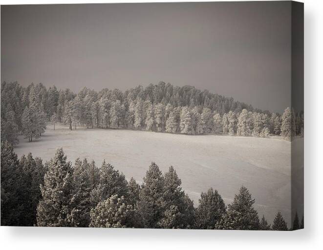 Snow Canvas Print featuring the photograph Mountain Meadow in Winter by Kevin Schwalbe