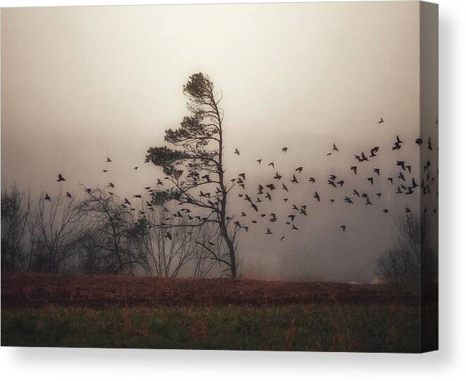 Melancholia Canvas Print featuring the photograph Melancholia by Dark Whimsy