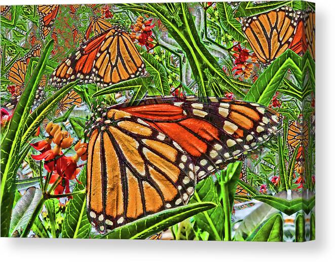 Monarch Butterfly Canvas Print featuring the photograph Monarch Kaleidoscope by HH Photography of Florida