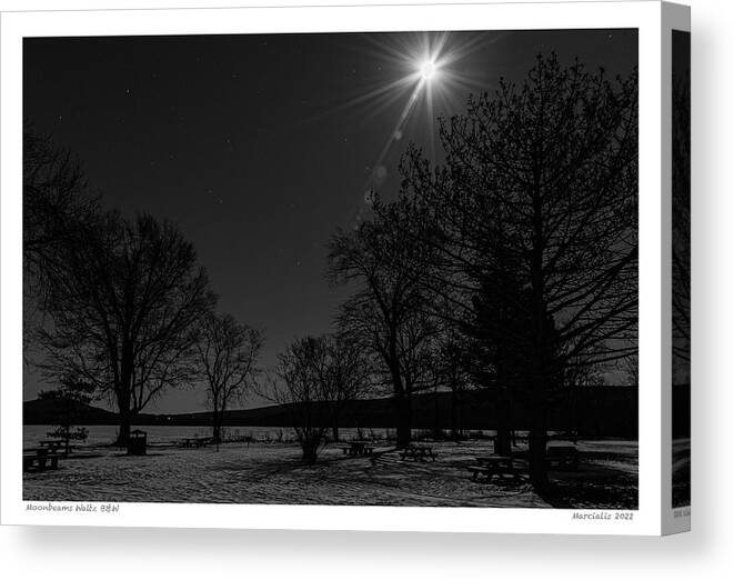 Full Moon Canvas Print featuring the photograph Moonbeams Waltz BW The Signature Series by Angelo Marcialis