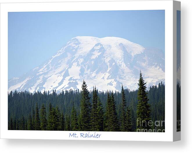 Trees Canvas Print featuring the photograph Mt. Rainier and Evergreens by Carol Eliassen
