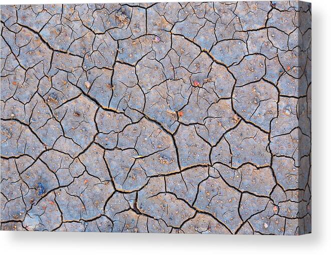 Mud Canvas Print featuring the photograph Mud Puzzle by Darren White