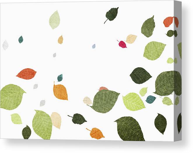 Environmental Conservation Canvas Print featuring the drawing Multi colored leaves falling over white background by Jutta Kuss