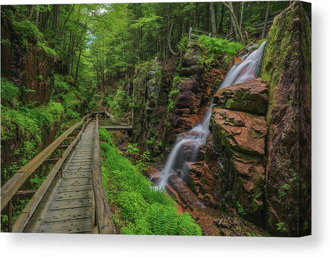 Flume Gorge Canvas Print featuring the photograph New Hampshire Flume Gorge Boardwalk Hike by Juergen Roth