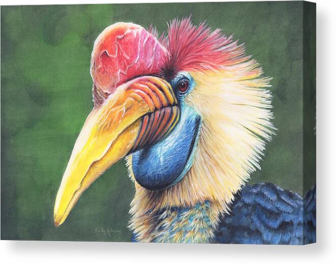 Hornbill Canvas Print featuring the painting Striking by Kirsty Rebecca