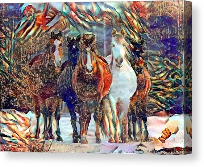 Horses Canvas Print featuring the photograph Oh Hello 2 by Listen To Your Horse