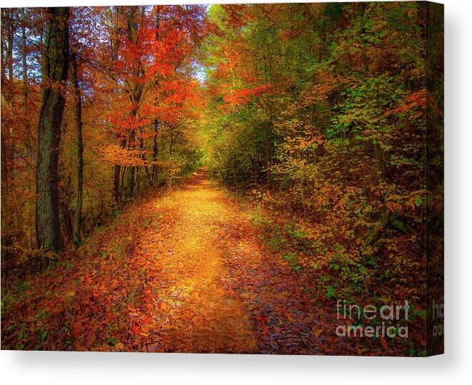 Wagon Road Canvas Print featuring the photograph Old Wagon Road at Bays Mountain by Shelia Hunt