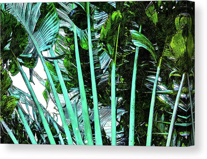 Palm Tree Canvas Print featuring the mixed media Palm Tree Fronds by Pamela Williams
