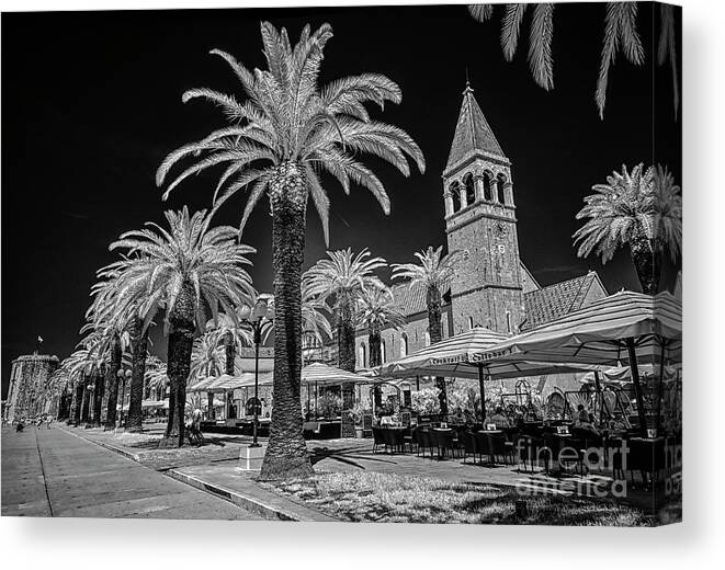 Croatia Canvas Print featuring the photograph Palms along Trogir Promenade by Norman Gabitzsch