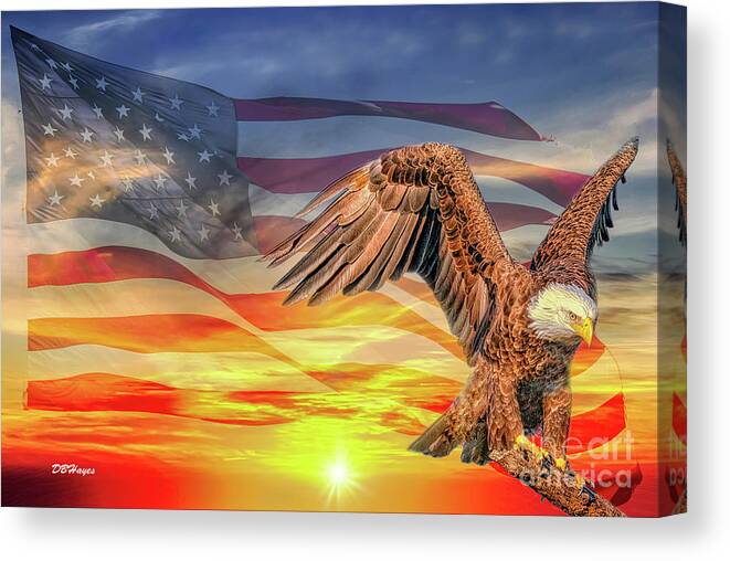Eagles Canvas Print featuring the photograph Patriotic Sky II by DB Hayes