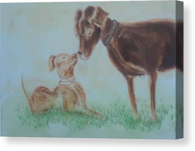 Pastel Canvas Print featuring the pastel Paws by Kiltin Weston