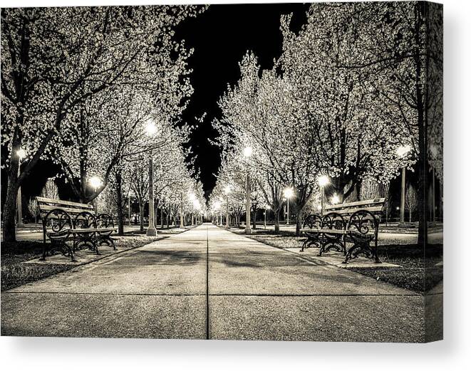 Forest Park Canvas Print featuring the photograph Peaceful Spring by Randall Allen