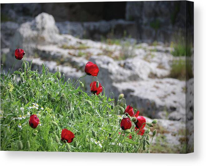 Poppies Canvas Print featuring the photograph Poppies and Ruins by M Kathleen Warren