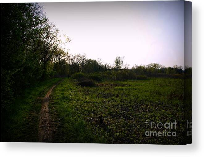 Nature Canvas Print featuring the photograph Quiet Morning On The Preserve Trail by Frank J Casella